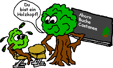 Holzkopfschler